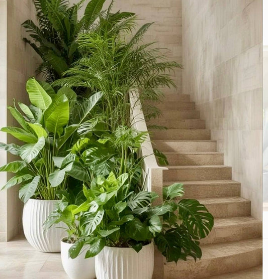 Atrium Lush
