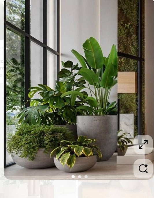 Concrete Trio