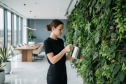 Plantscaping Services - fresh plant delivery in Los Angeles by Pink Clover
