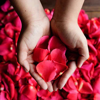 Rose Petals bouquet same-day delivery San Francisco