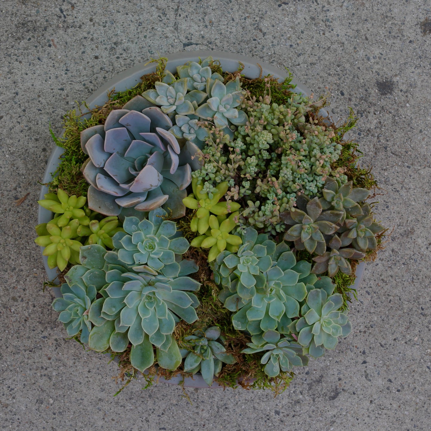 Green Garden - Ventura County