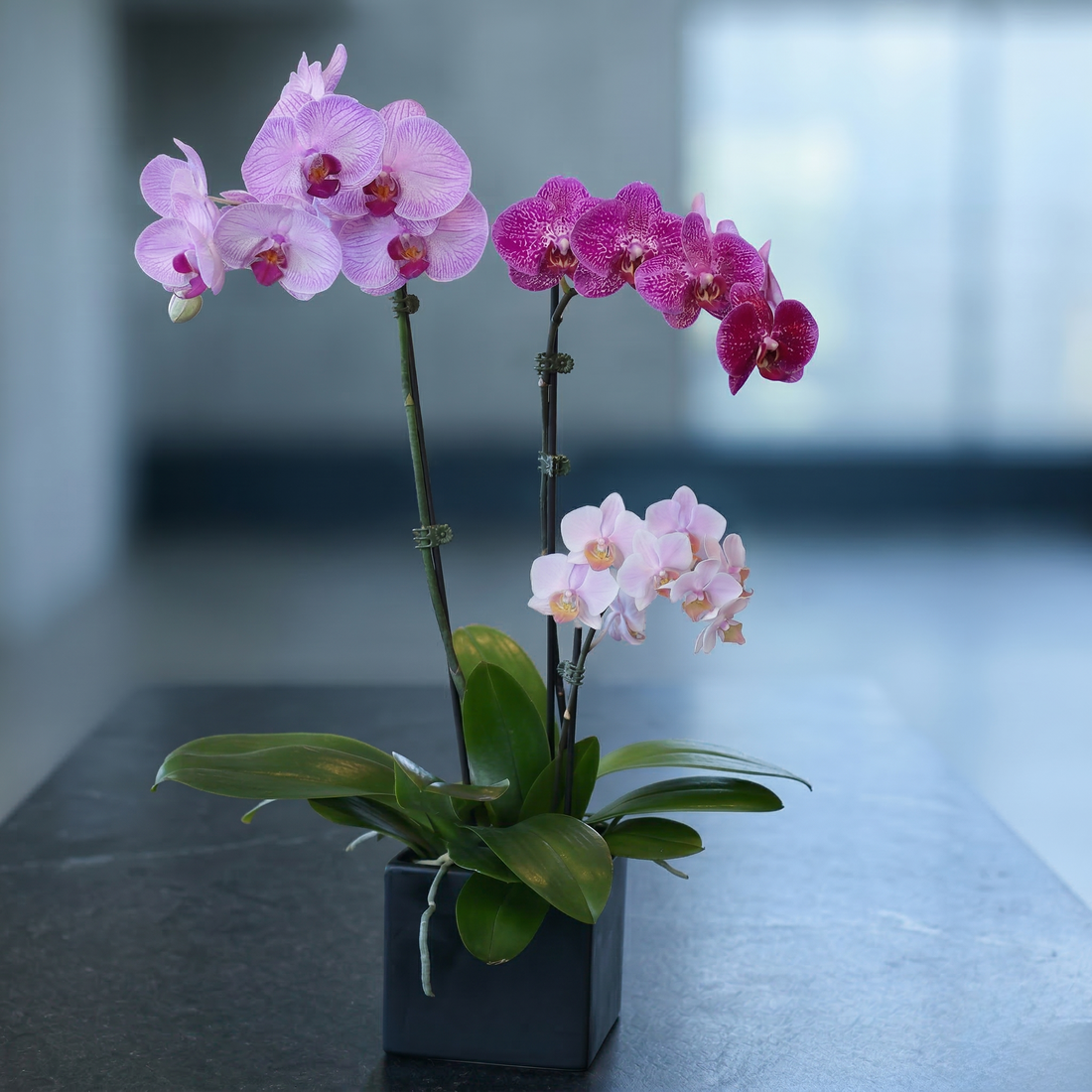 Velvet Valor - premium fresh floral arrangement same-day delivery Los Angeles