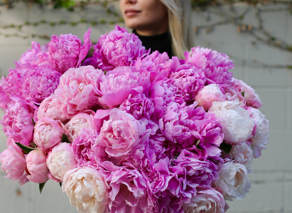 Pink Clover luxury flower arrangement, Ventura flower delivery