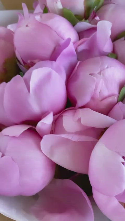 Peonies