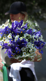 Bouquet with irises and chamomile close-up detail - fresh iris from Pink Clover LA