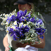 Bouquet with irises and chamomile - premium fresh iris same-day delivery Los Angeles