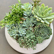 Green garden - Los Angeles Florist - Pink Clover