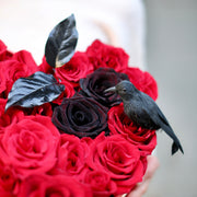 Elegant red and black rose arrangement styled with dark accents and decorative feathers, perfect for Halloween celebrations and premium delivery